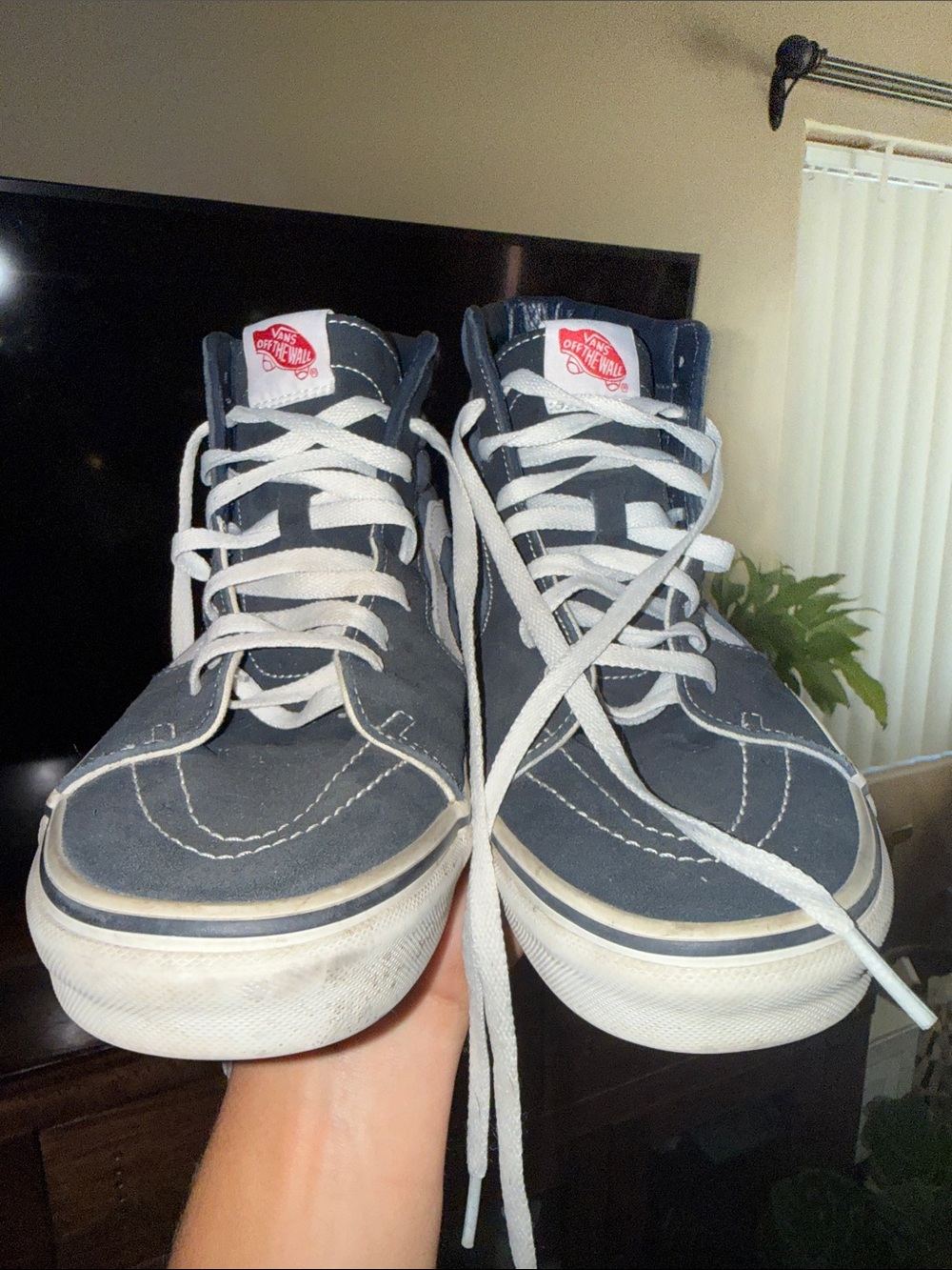 Vans Black and White High-Top Skate Sneakers with Side Stripe